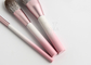 Insieme di spazzole bianco rosa di trucco di colore di pendenza di Vonira 10 PCS con il logo dell'etichetta privata della fibra del cereale
